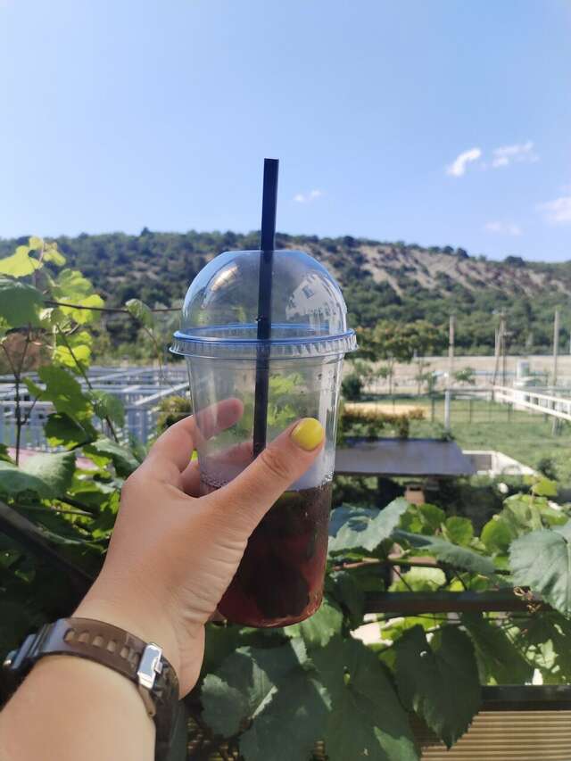 Гостевой дом Джулия Сукко-152