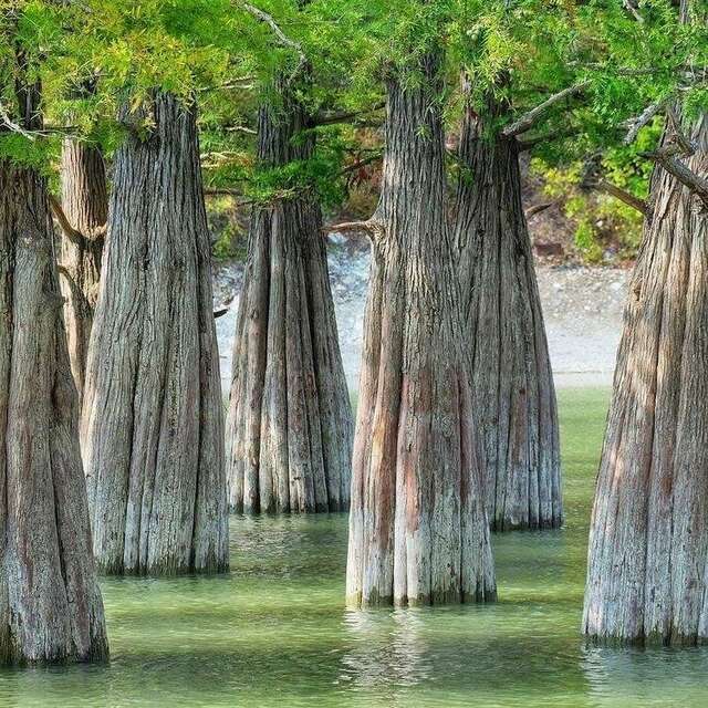 Гостевой дом Джулия Сукко-14