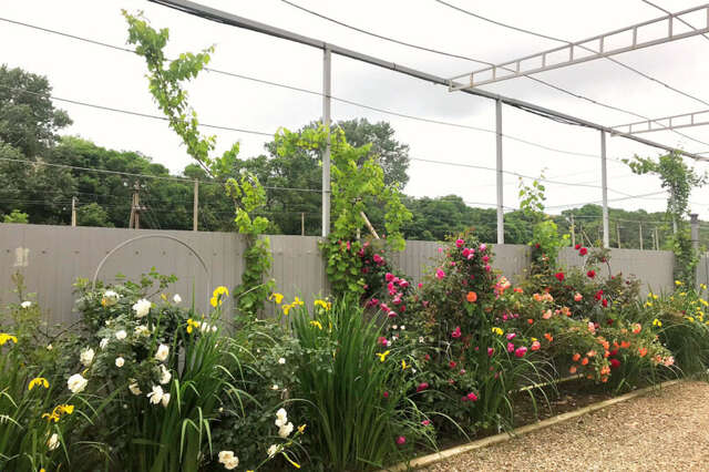 Гостевой дом Джулия Сукко-7