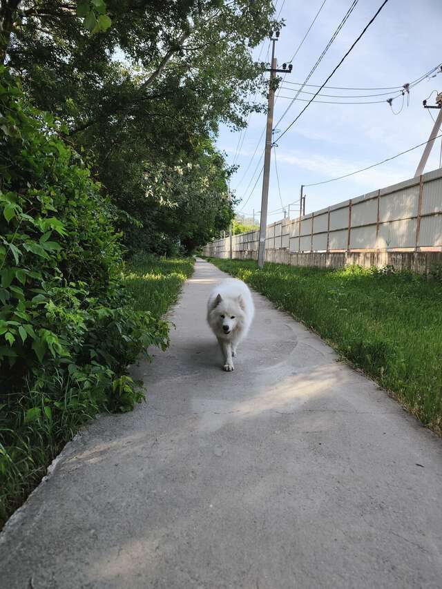 Гостевой дом Джулия Сукко-138